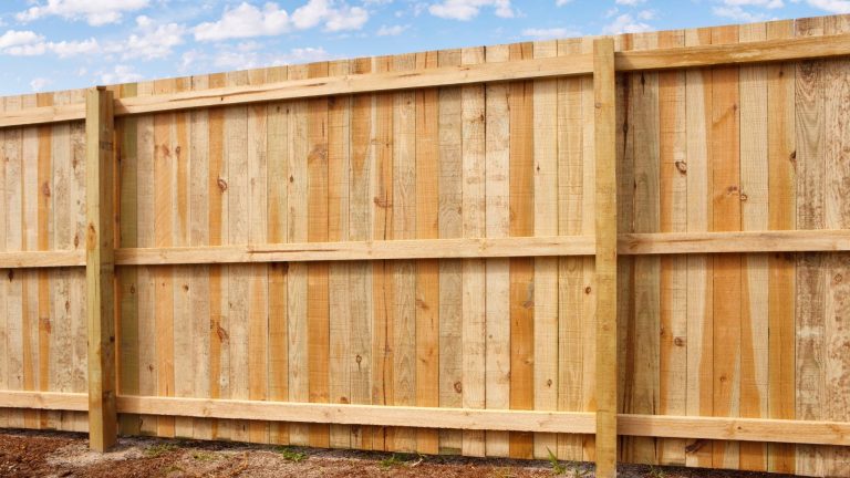 Side by side cedar privacy fence pickets in a Conroe backyard